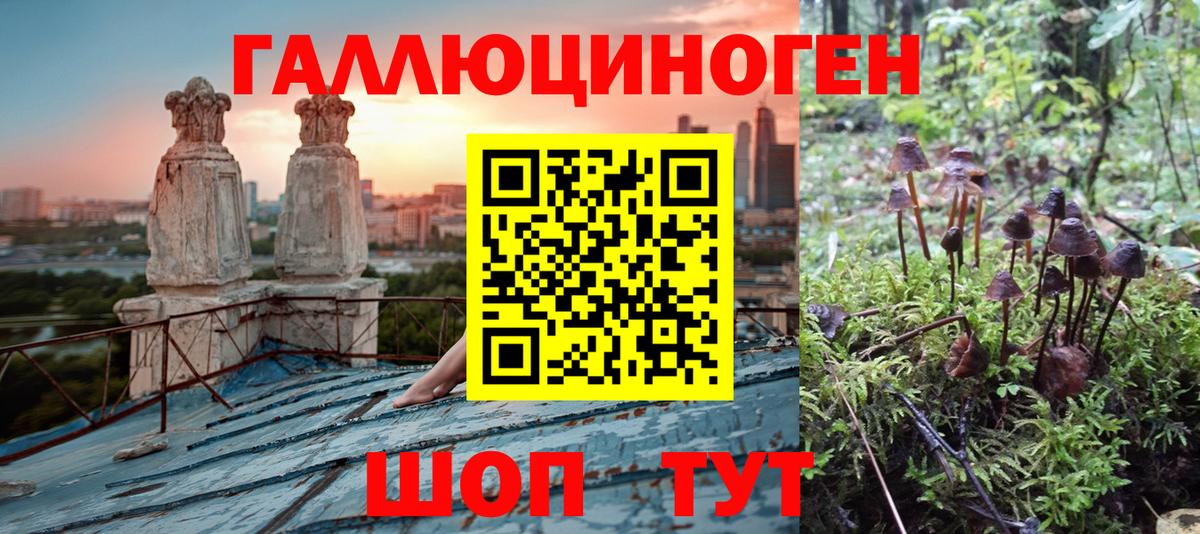 Галлюциногенные грибы ЛСД Анапа