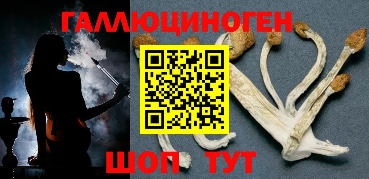 Анапа  Псилоцибиновые грибы Magic Shrooms  Вход с VPN 