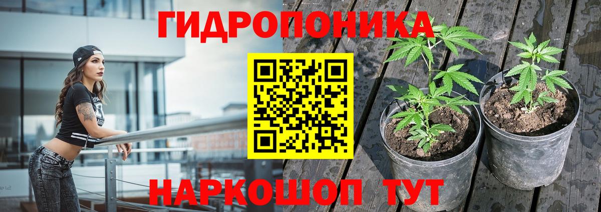 Конопля ГИДРОПОН  Канабис LSD WEED  Анапа  Марихуана THC 21%  Вход с VPN 